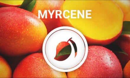 Qu’est-ce que c’est que ce terpène ? Le myrcène !