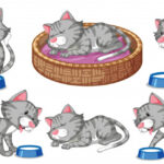 Le CBD et les bienfaits chez les chats