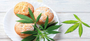 cuisiner-cbd-cannabis