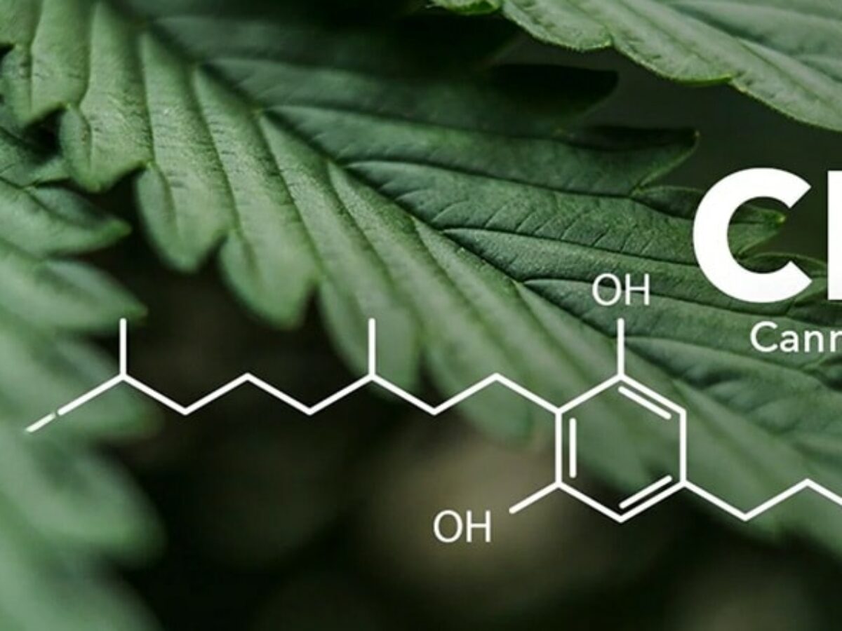 L'essentiel  savoir sur la consommation du CBG - CBD Blog