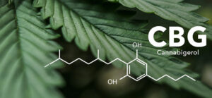 tout-savoir-sur-le-cbg-cbd-2