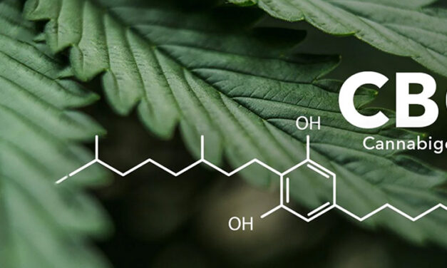 L’essentiel à savoir sur la consommation du CBG