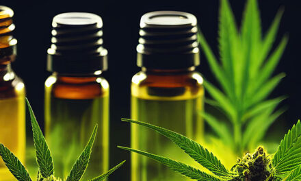 Quels sont les différents types d’huiles CBD ?