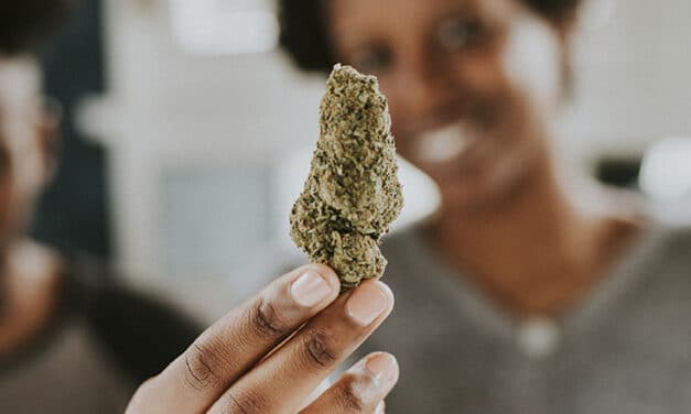 Les bienfaits du CBD : réalité ou effet de mode ?
