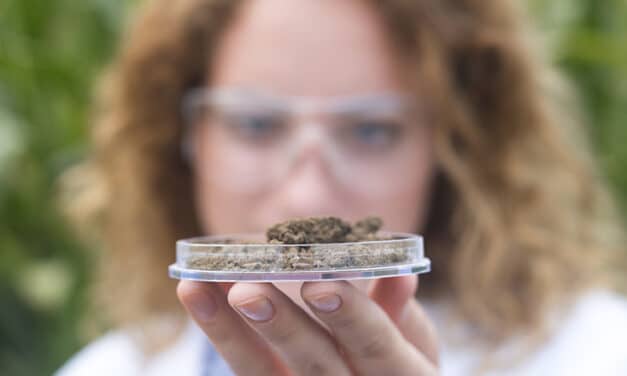 Quelle maladie soigne le CBD ? Tout ce que vous devez savoir