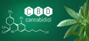 tout-savoir-sur-cbd