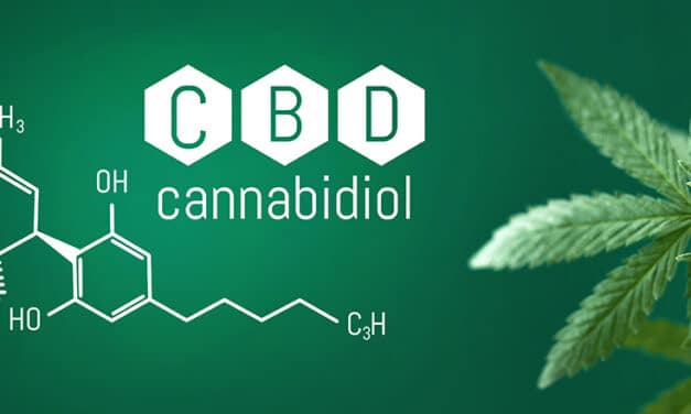 Tout savoir sur le CBD