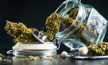 Cbd pas cher : Où trouver les meilleurs prix ?