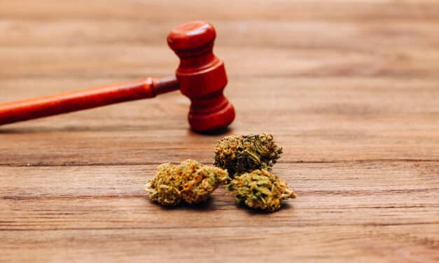 Légalisation du cannabis en Allemagne, ou en est-on ?