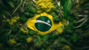 CBD drapeau brésil
