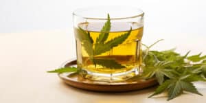 tisane-cbd-cannabis-legal