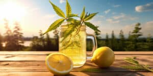 limonade-cbd