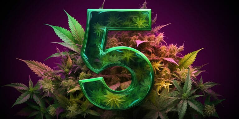 top-5-fleur-cbd-pas-chere