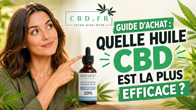 guide-achat-huile-cbd