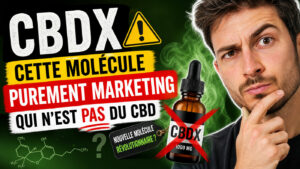 cbdx