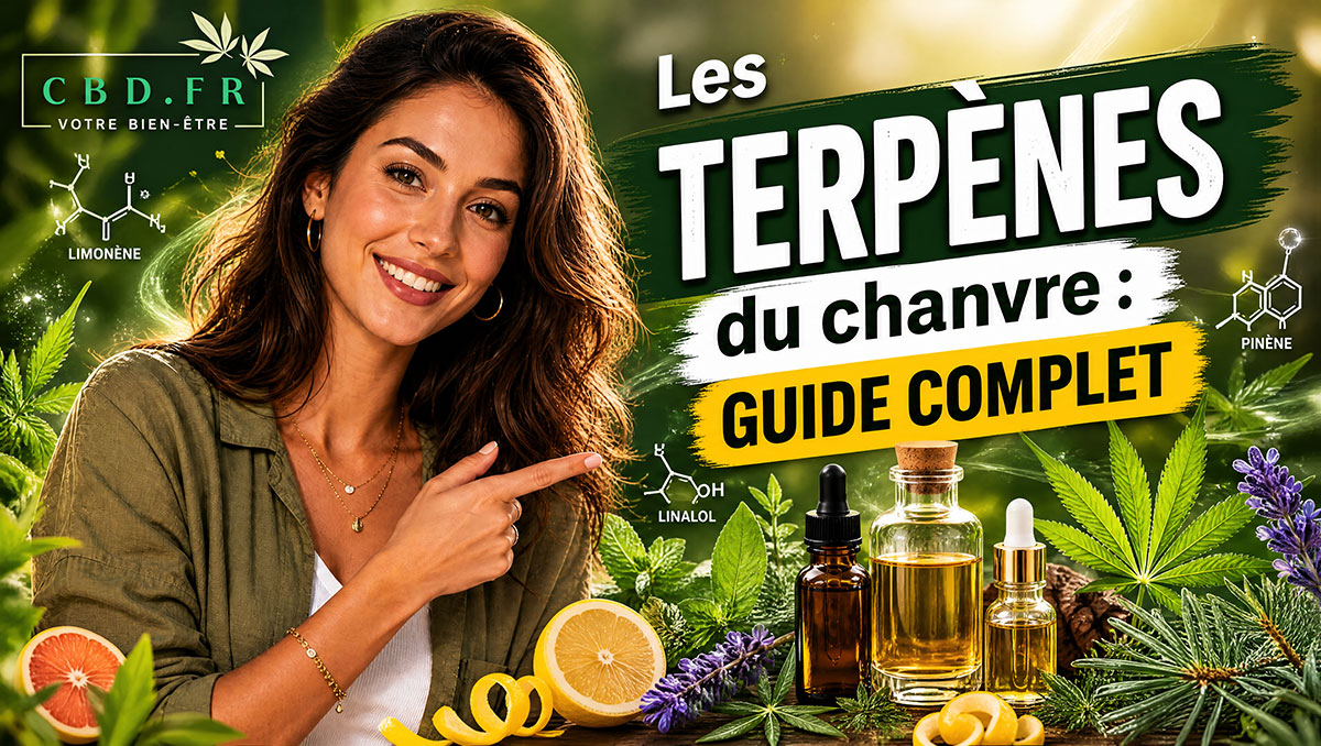 guide-terpene