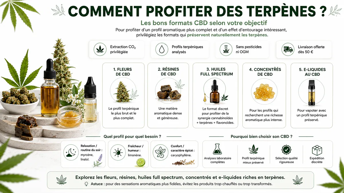 infographie-terpene-cbd-fr