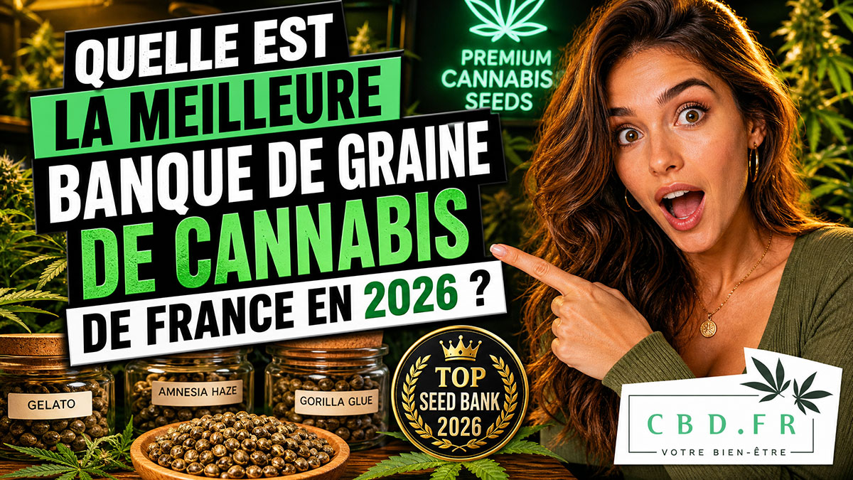 quelle-est-la-meilleure-banque-graine-cannabis