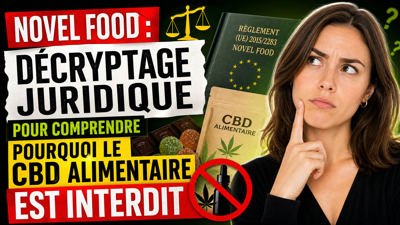 cbd-novel-food
