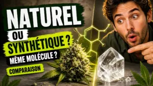 Une fleur de chanvre et un cristal translucide de CBD encadrent une forme moléculaire sur une surface gris chaud.