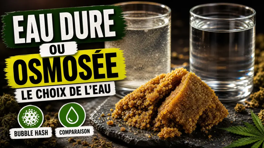 Un morceau de bubble hash ambré repose entre deux verres d’eau, l’un minéralisé et l’autre purifié, sur une table sombre.