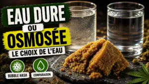 Un morceau de bubble hash ambré repose entre deux verres d’eau, l’un minéralisé et l’autre purifié, sur une table sombre.
