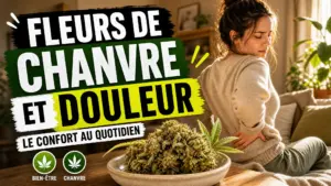 Une fleur de chanvre détaillée repose dans une coupelle près d’une personne assise qui pose la main sur le bas de son dos.