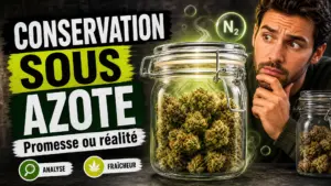 Deux bocaux en verre présentent des fleurs de chanvre, l’un montrant une matière vive et préservée face à un aspect plus terne.