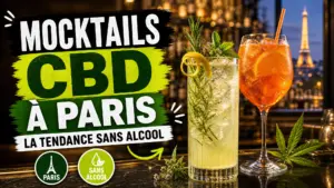 Deux verres élégants posés sur le comptoir d’un bar parisien, avec un mocktail botanique au chanvre face à un spritz orange.