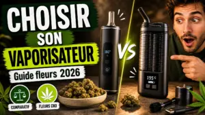 Deux vaporisateurs de fleurs sont présentés côte à côte avec une coupelle de fleurs de chanvre et quelques accessoires sur une table élégante.