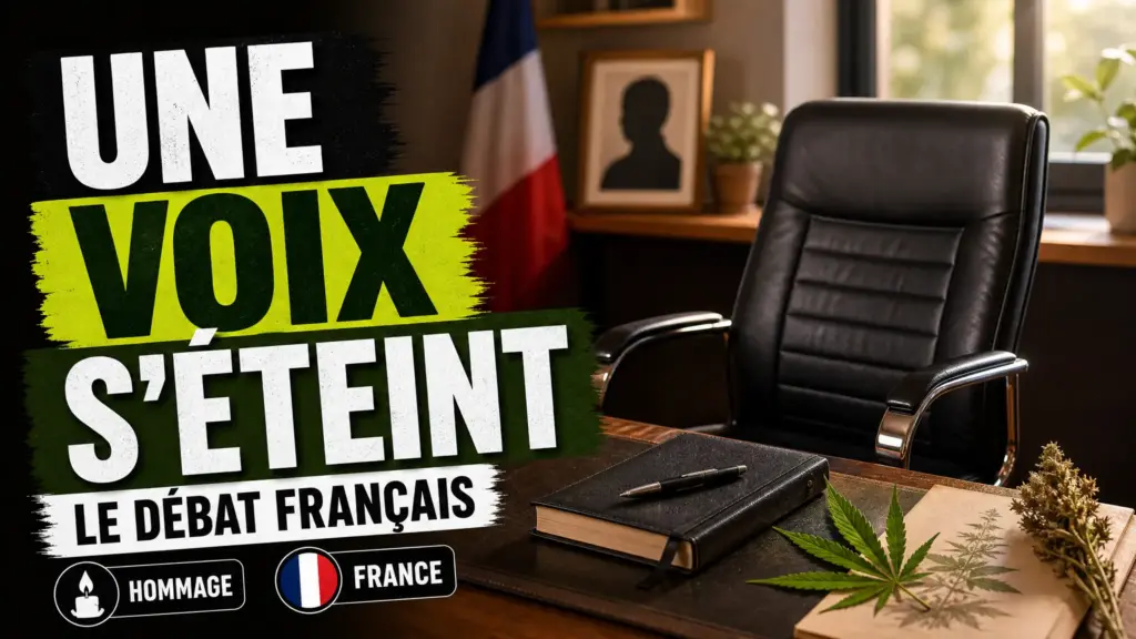 Une chaise vide dans un cabinet médical fait face à un bureau portant un carnet fermé et un discret élément botanique de chanvre, dans une atmosphère recueil…