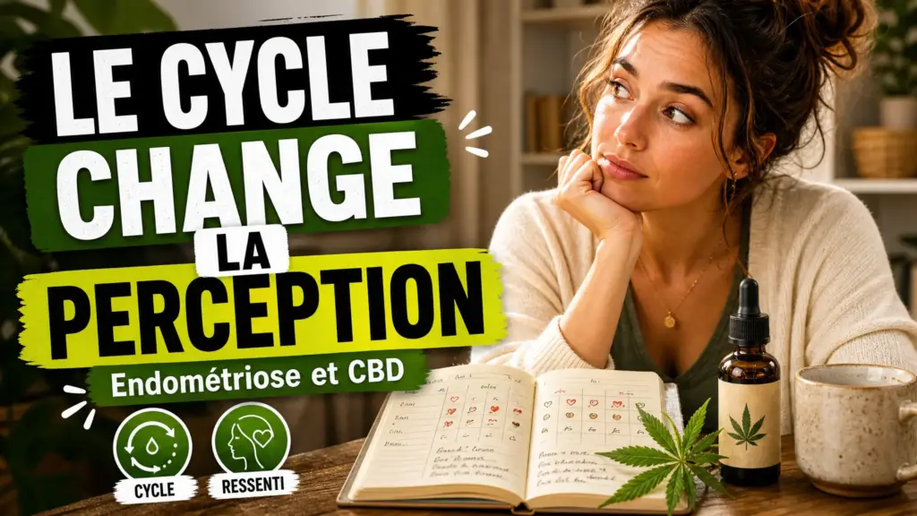 Une femme observe un carnet de cycle posé sur un bureau, avec une bouteille d’huile de chanvre fermée et une branche botanique à ses côtés.