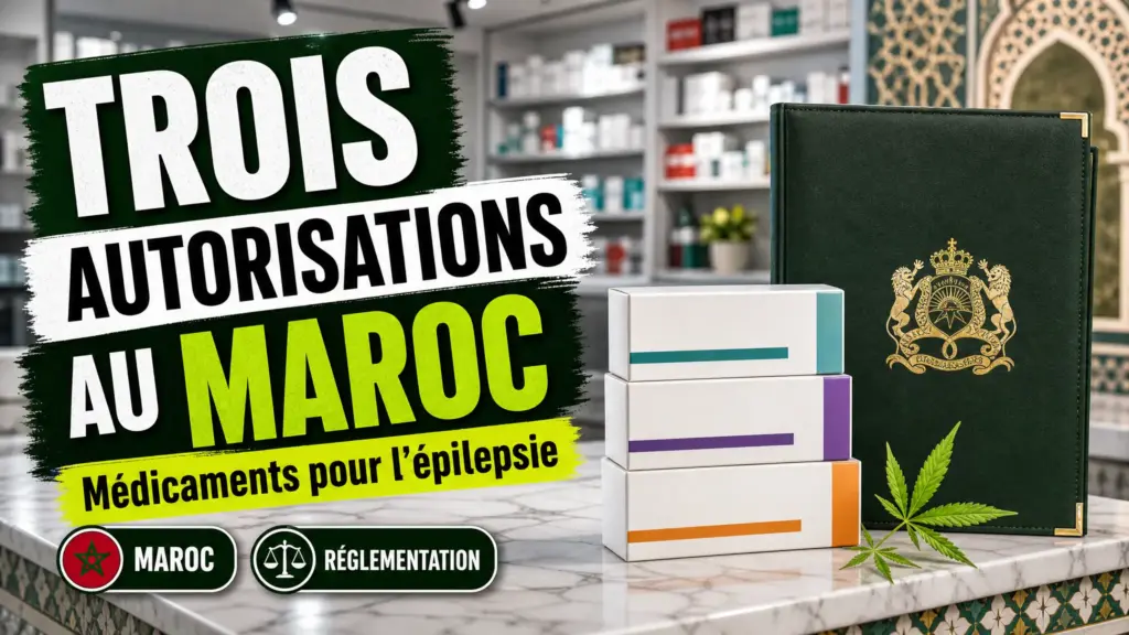 Trois boîtes de médicaments génériques scellées sont présentées sur un comptoir devant un dossier réglementaire dans une pharmacie marocaine.