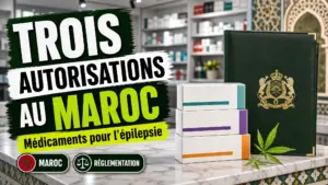 Trois boîtes de médicaments génériques scellées sont présentées sur un comptoir devant un dossier réglementaire dans une pharmacie marocaine.