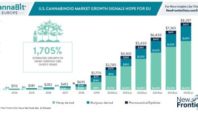 À mesure que le marché du CBD se développe, les détaillants cherchent à s'implanter sur les marchés européens du cannabis