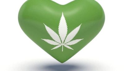 Qu'est-ce que le cannabis