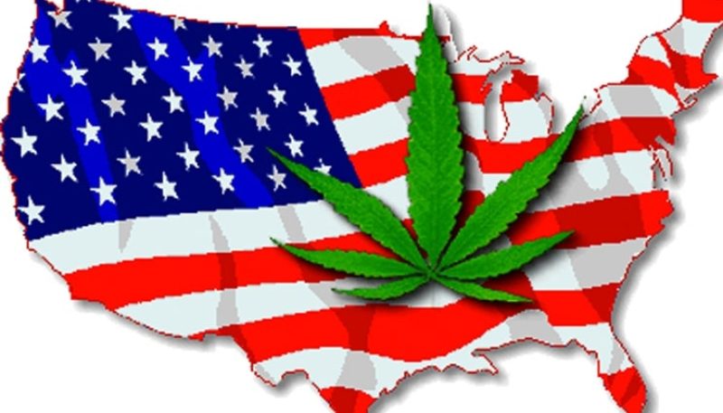 La légalisation de la marijuana aux usa
