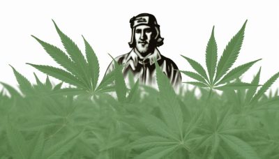 Le cannabis médical adopté à l'Assemblée Nationale grâce au 49.3