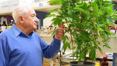 Le Professeur Mechoulam transforme à nouveau l’industrie du Cannabis