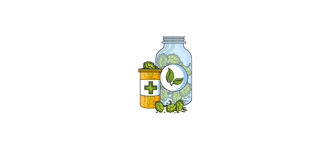 Fleurs CBD Greenhouse Qualité Supérieure En France | CBD.fr