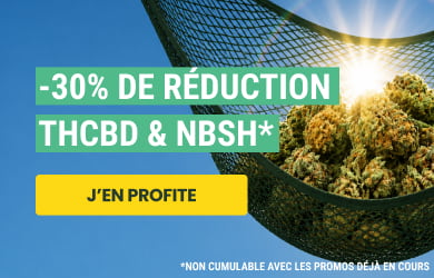 pub calendrier de l'avent CBD.fr