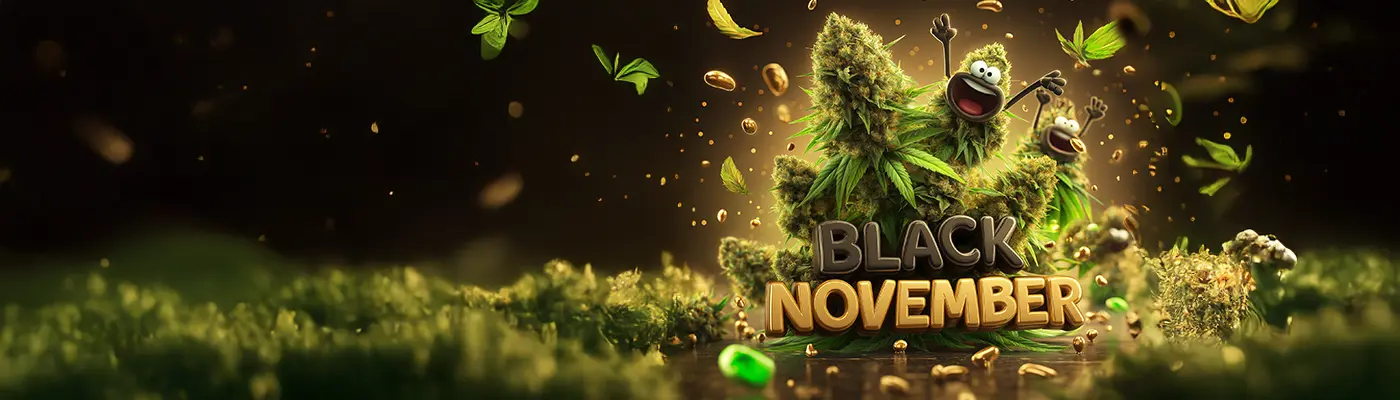 Black November Slide background
