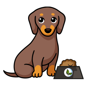 CBD pour chiens