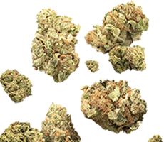 Small Buds CBD