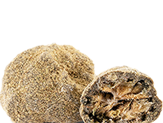 Rocks CBD