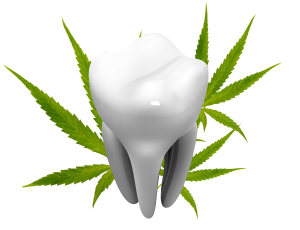 Dentifrice CBD