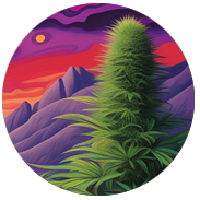 VMAC