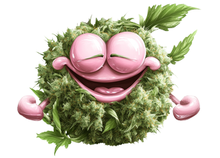 THC Delta-9 : CBD