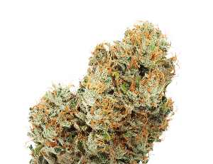 Fleurs de CBD