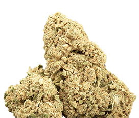 Fleurs CBD indoor